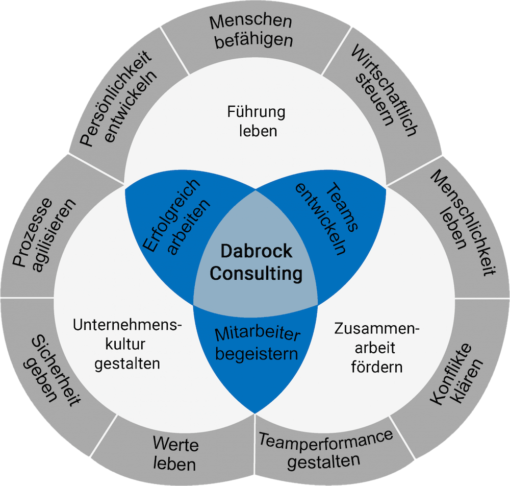 Systemlösung Dabrock Consulting